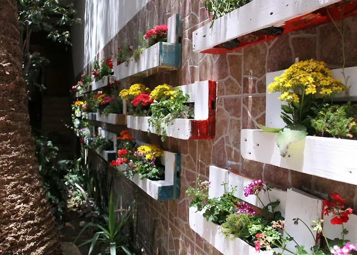 Casa The Garden Palmas