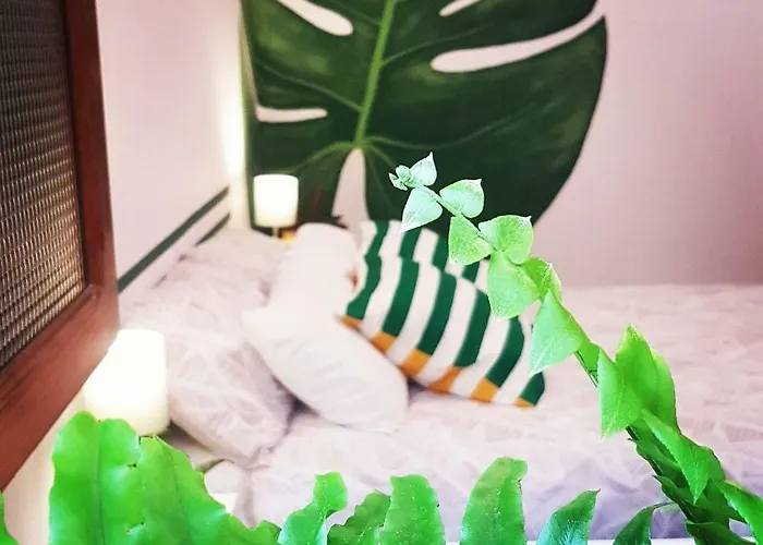 ゲストハウス Casa The Garden Palmas