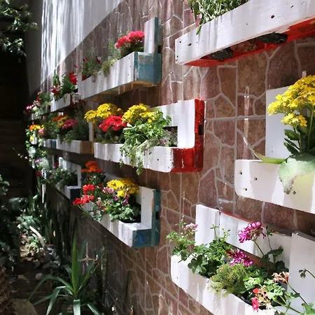 The Garden Palmas