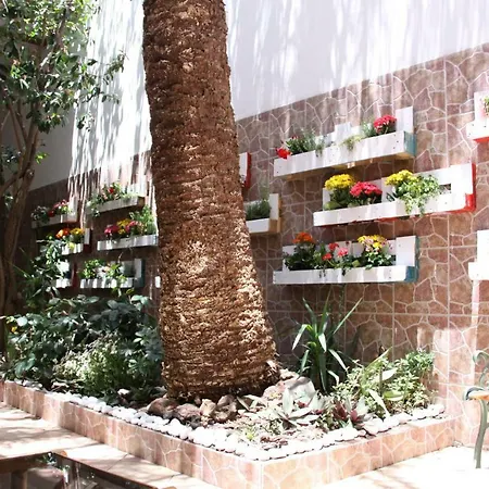 The Garden Palmas