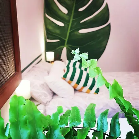 Pensión Casa The Garden Palmas