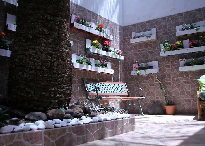 Pensjonat Casa The Garden Palmas 3*